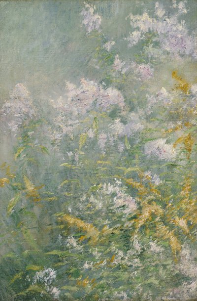 Flores de pradera (vara de oro y áster silvestre) de John Henry Twachtman